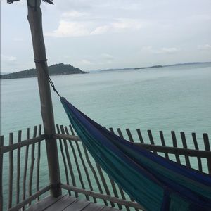 Meet your Posher, Nettie